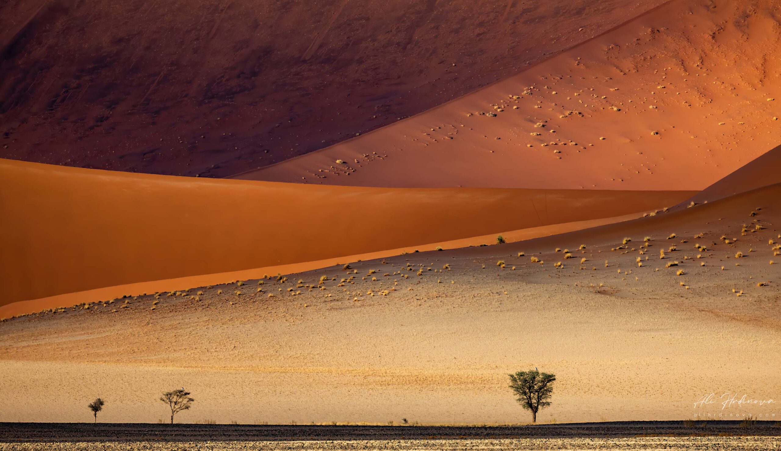 the Namib desert, Namibia April 2023
