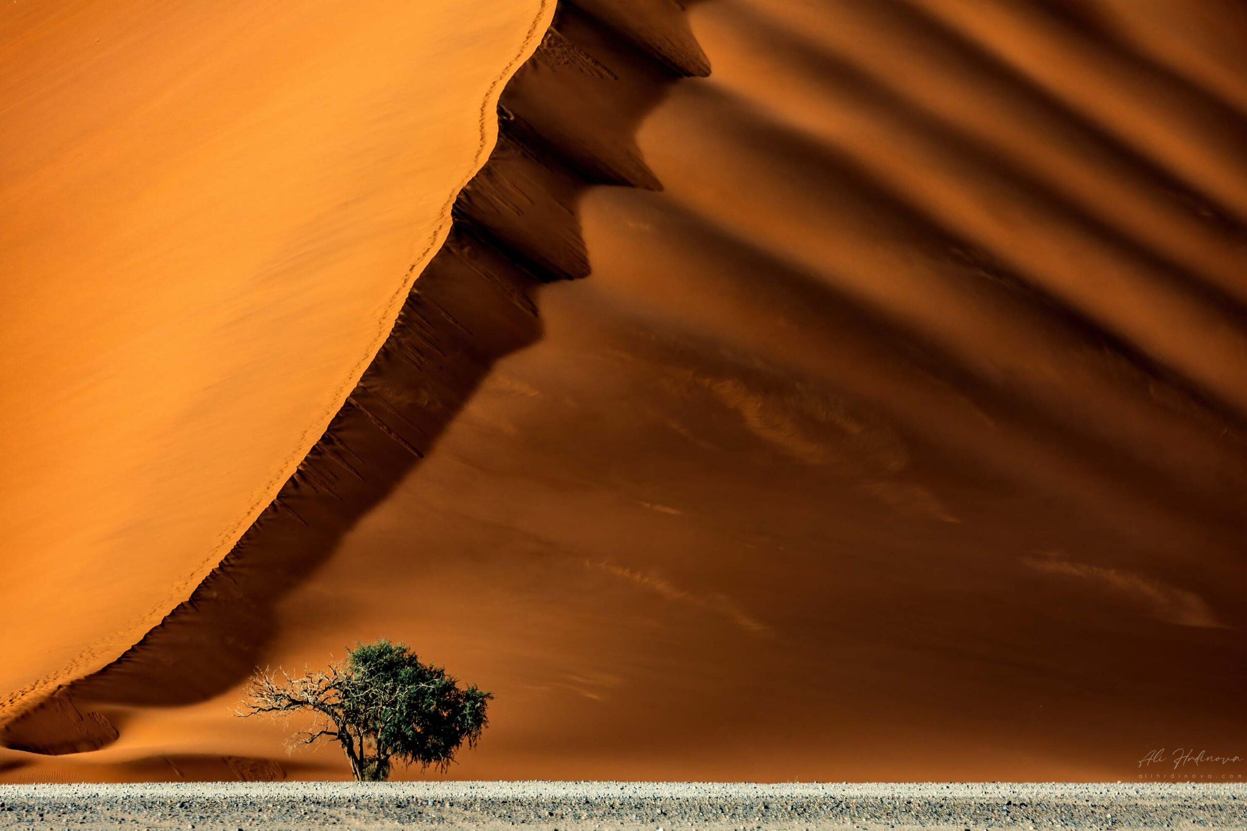 the Namib desert, Namibia April 2023