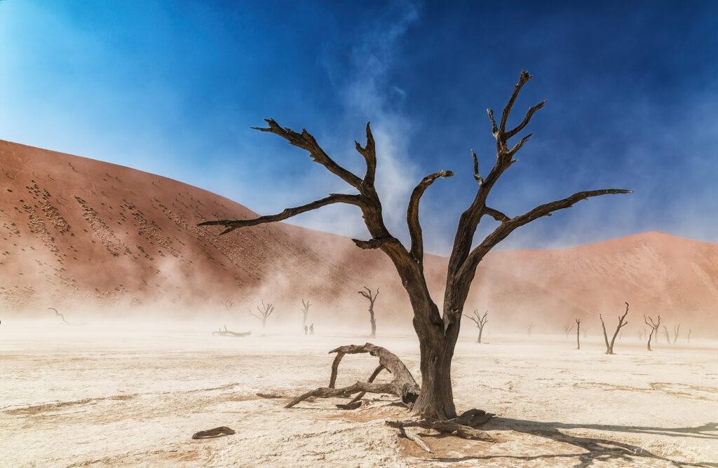poušť Namib, Deadvlei