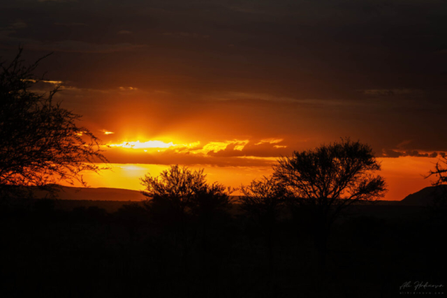 Serengeti, západ slunce při návratu do kempu